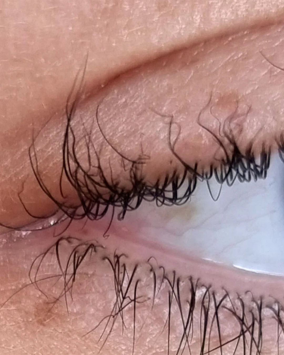 Ciglia bruciate da laminazione sbagliata — ciglia crespe e danneggiate