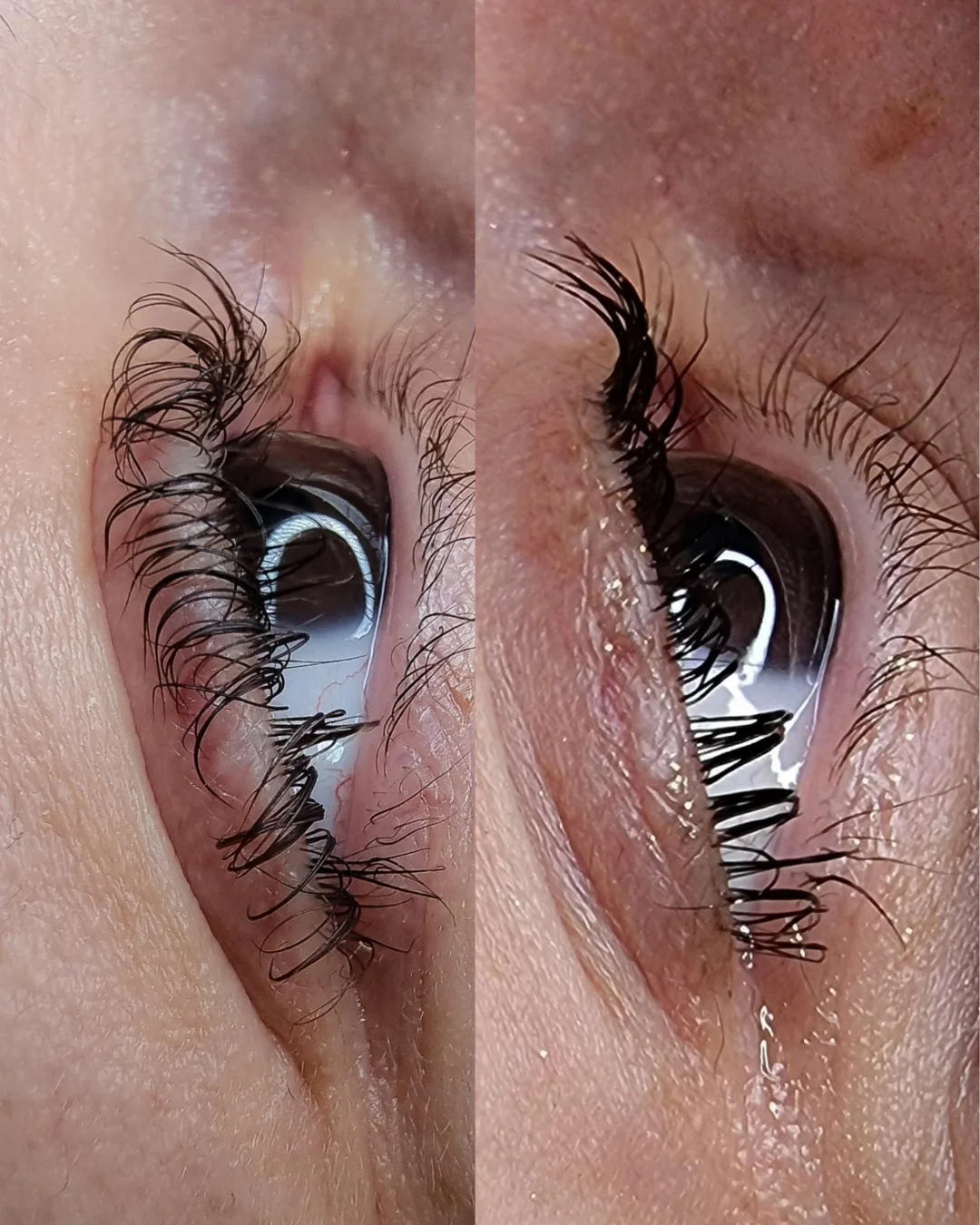Correzione laminazione sbagliata prima e dopo — Lena Lashes Milano
