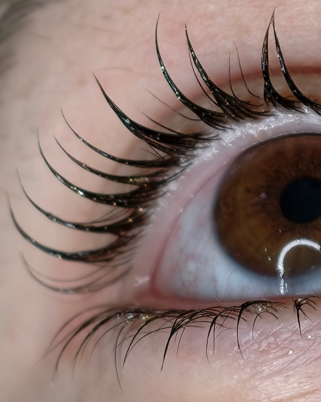 Dettaglio macro delle ciglia laminate — corso Lena Lashes Academy Milano