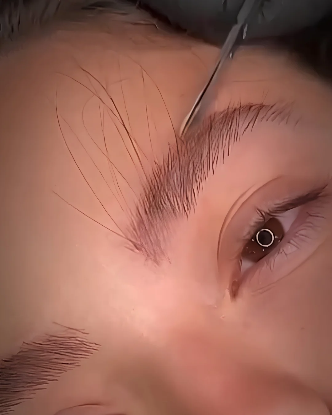 Extension sopracciglia simmetria arcata — risultato Lena Lashes Milano