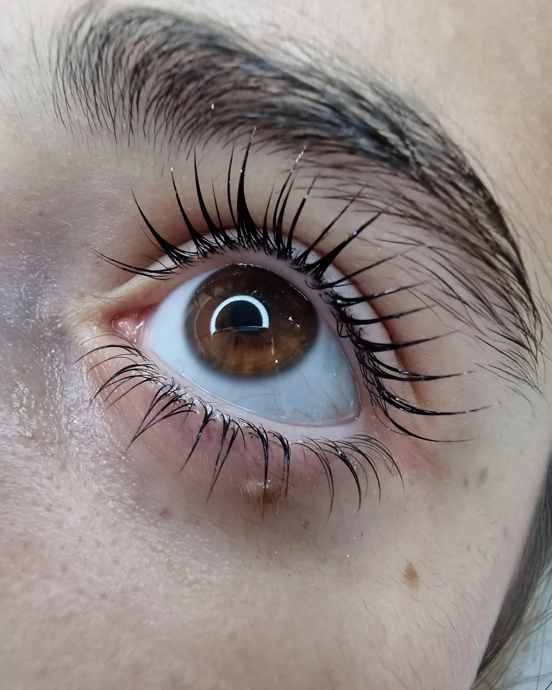 Lash lift ciglia naturali — risultato trattamento Lena Lashes Milano