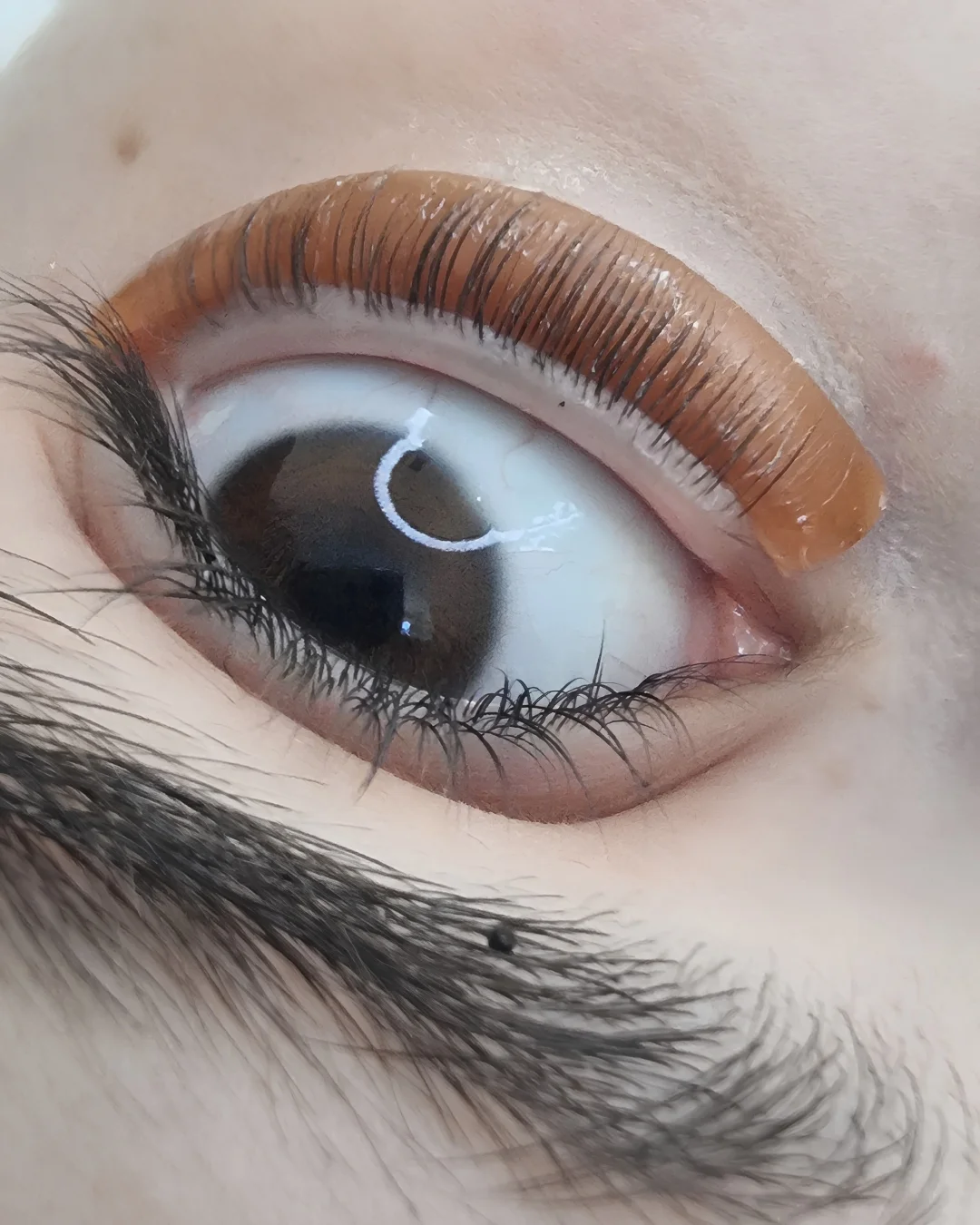 Laminazione ciglia inferiori — effetto liftato su ciglia inferiori, Lena Lashes Milano
