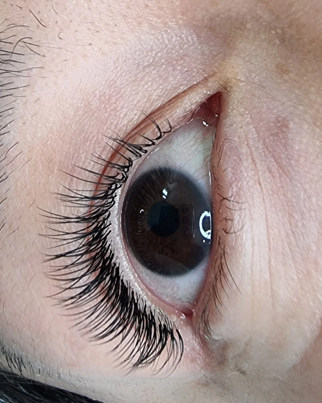 Extension ciglia one to one vista occhio — risultato Lena Lashes Milano