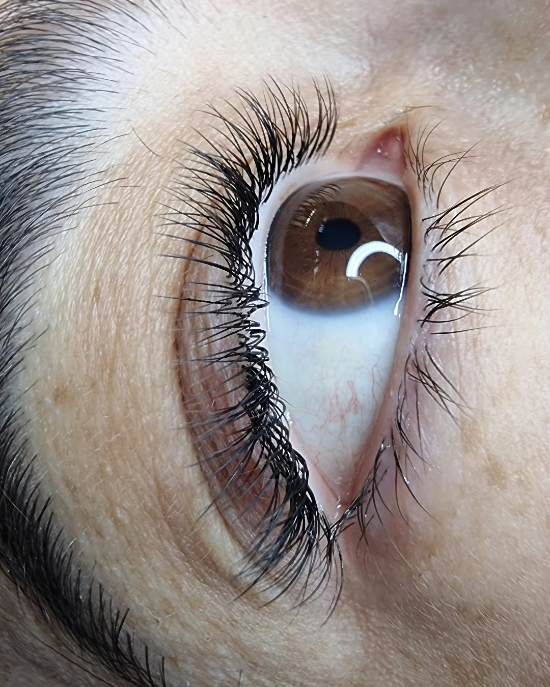 Extension ciglia one to one volume naturale — studio Lena Lashes Milano