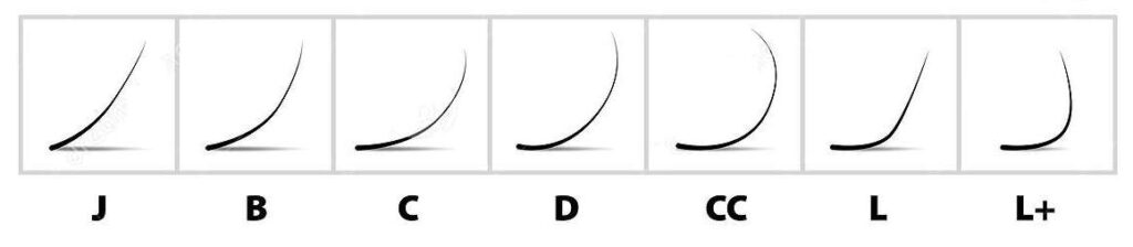 curvature extension ciglia.
B, J, C,D,CC,L, L+