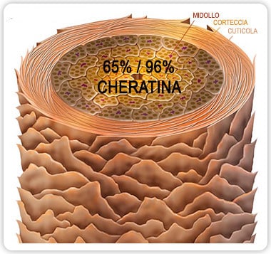squame di cheratina pelo, ciglia