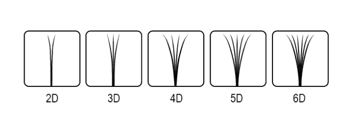 Illustrazione dei ventagli extension ciglia per i volumi 2d, 3d, 4d, 5d, 6d.