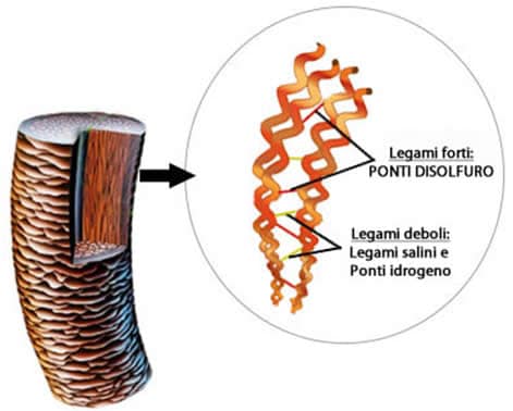 legami cheratina