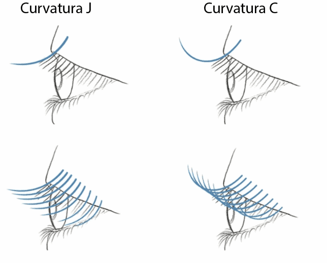 CURVATURE C E J SU OCCHI ASIATICI MONOLIdi