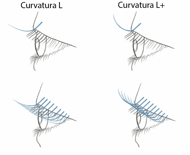 Curvature L e L+ su occhi asiatici