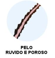 porosita-pelo